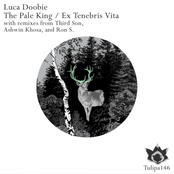 The Pale King / Ex Tenebris Vita