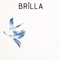 Il surgelatore (feat. Verano) - Brilla lyrics