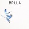 Agapornis - Brilla lyrics