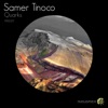 Samer Tinoco