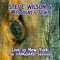 Patterns (feat. Wilsonian's Grain) [Live] - Steve Wilson lyrics