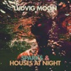 Sparks / Houses at Night - Single