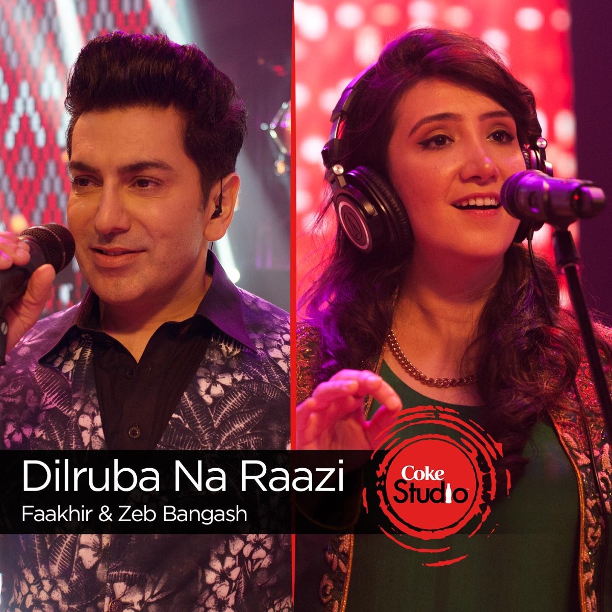 Dilruba Na Raazi (Coke Studio Season 9) - Single by Zebunnisa Bangash &  Faakhir on Apple Music