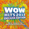 Wow Hits 2017 (deluxe Edition) - Various Artists