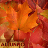 Autunno (Rumore di Pioggia) - Classic Emis