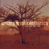 Beyond the Shore - Willard Grant Conspiracy new Single