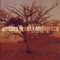 Soft Hand - Willard Grant Conspiracy lyrics