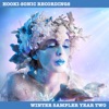 Hooki-Sonic Recordings Winter Sampler Year Two, 2015