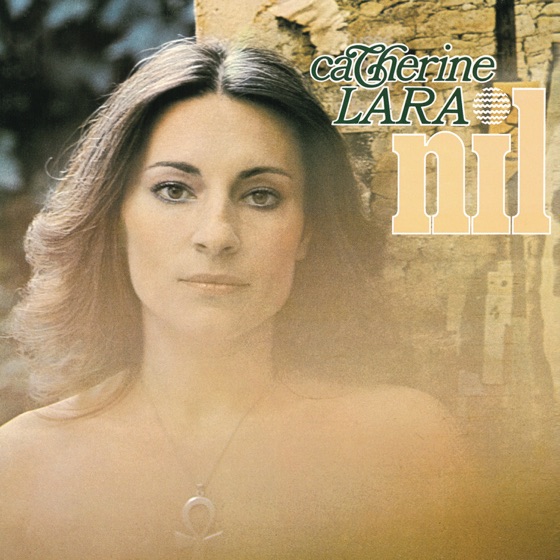 Cover artwork for Les oiseaux meurent en exil