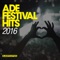 Broken Souls (feat. Andrew Jackson) [Radio Edit] - APEK & Shanahan lyrics