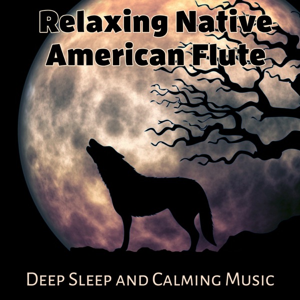 Relaxing Native American Flute: Deep Sleep and Calming Music for Meditation, Stress Relief, Chakra Healing, Indiana Dreams