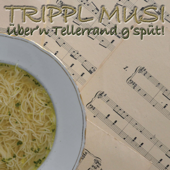 The Hesleyside Reel - Trippl Musi