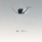 Chances - Dia Frampton lyrics