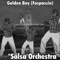 Salsa Orchestra artwork