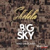 Shelela (feat. Mad On Dough) - Single