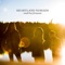 Run Joseph Run - Heartland Nomads lyrics