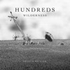 Wilderness (Deluxe Edition) artwork
