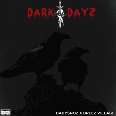 DarkDayz (feat. Babysnoz & Breez Village) - Single