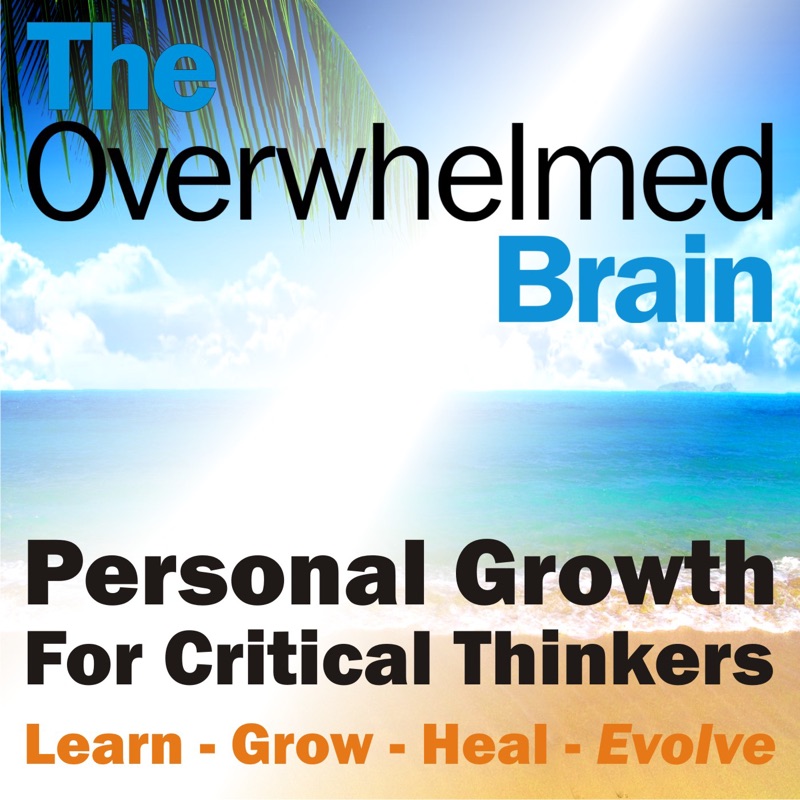 The Overwhelmed Brain | Stress | Anxiety | Relationship | Critical Thinking | Emotional Intelligence | Healing