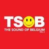 The Sound of Belgium Vol. 3 artwork