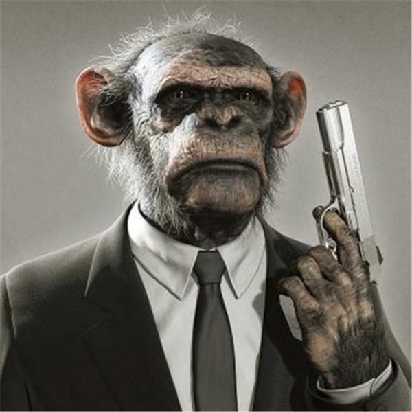 Delinquent Primates Radio cover