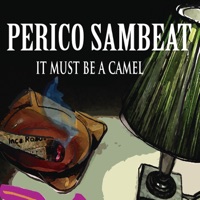 It Must Be a Camel - Single - Perico Sambeat