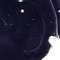 Corvus - Recondite lyrics