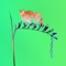 Trust (feat. Isabella Manfredi) - Flume lyrics