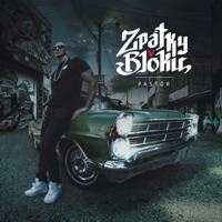 Zpátky V Bloku - Pastor