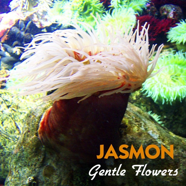 Jasmon - Dimdanana