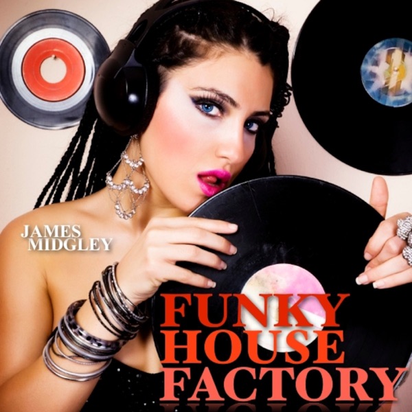 Sexy Funky House cover