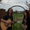House of Sparrows - House of the Rising Sun (Cover)