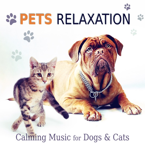 Pets Relaxation: Calming Music for Dogs & Cats, Gentle and Relaxing Songs to Calm Down Your Animal Companion