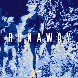 Runaway Charles Goose