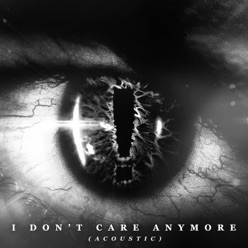 Lyrics To The Song I Don T Care Anymore Hellyeah
