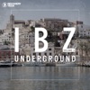 IBZ Underground, Vol. 3, 2016