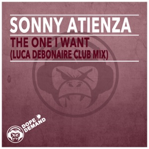 The One I Want (Luca Debonaire Club Mix) - Single