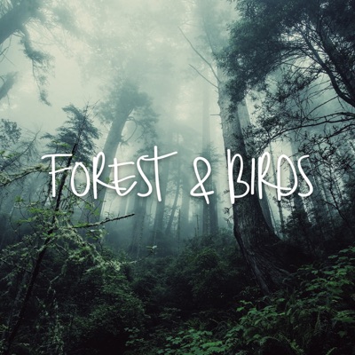 Sunny Afternoon in the Forest-thumbnail