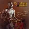 Dominik Anzala