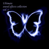 Ultimate Sound Effects Collection, Vol. 1 artwork