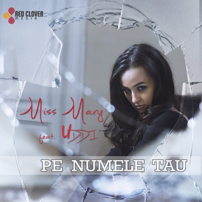 Pe Numele Tau (feat. Uddi) - Single