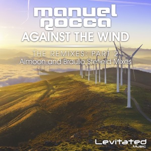 Against the Wind (The Remixes, Pt. 2) - Single