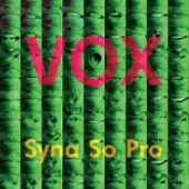 Syrhea Conaway - Vox