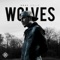 Wolves - Dray Solis lyrics