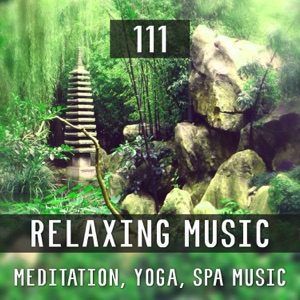 111 Relaxing Music: Meditation, Yoga, Spa Music, White Noise Waves Sounds, Calming Healing Music
