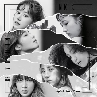 Pink Revolution album cover