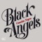 Intro (feat. Cristian Gallardo) - Black Angels lyrics