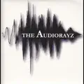 Turn Up The Audio