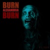 Burn Alexandria Burn - Single