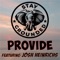 Provide (feat. Josh Heinrichs) - Stay Grounded lyrics